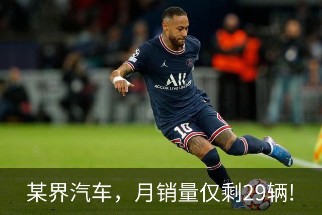 某界汽车，月销量仅剩29辆!